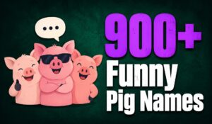Funny Pig Names