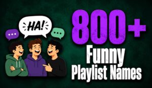 Funny Playlist Names