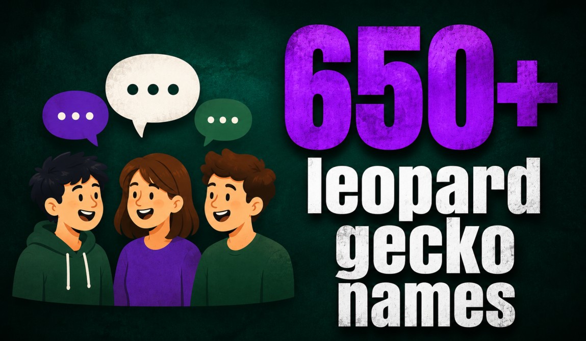 leopard gecko names