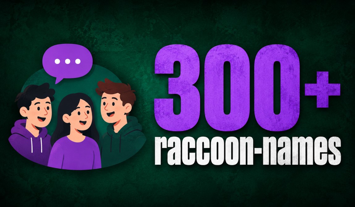 raccoon names