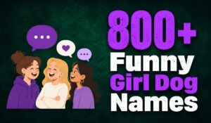 Funny Girl Dog Names