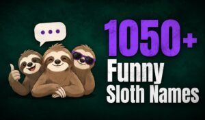 Funny Sloth Names
